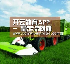 关于开云APP