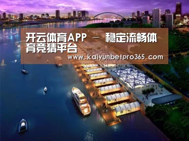 案例展示八