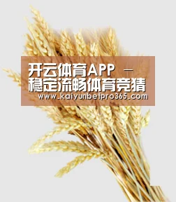 开云体育APP - 稳定流畅体育竞猜平台